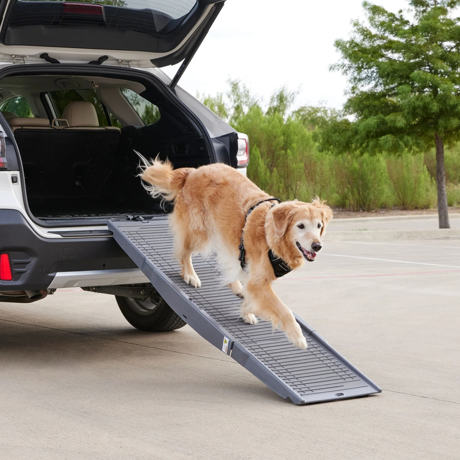 Frisco Tri-Fold Travel Dog Car Ramp 3 Frisco Tri-Fold Travel Dog Car Ramp