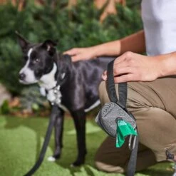 Frisco Dog Poop Bags With Fabric Dispenser 15 Frisco Dog Poop Bags With Fabric Dispenser -The Pet Haven Shop 236998 PT6. AC SS1800 V1610772967