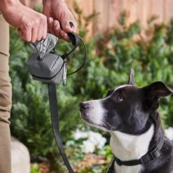 Frisco Large Size Dog Poop Bags With Fabric Dispenser -The Pet Haven Shop 237013 PT6. AC SS1800 V1610762789