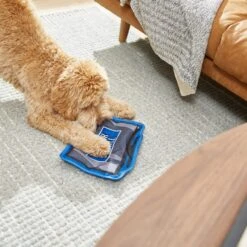 Frisco Zoomies & Chill TV Flat Plush Squeaky Dog Toy 9 Frisco Zoomies & Chill TV Flat Plush Squeaky Dog Toy -The Pet Haven Shop 241685 PT6. AC SS1800 V1610768399