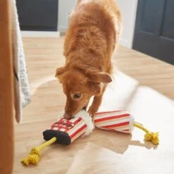 Frisco Zoomies & Chill Theatre Snacks Rope With Plush Squeaky Dog Toy 7 Frisco Zoomies & Chill Theatre Snacks Rope With Plush Squeaky Dog Toy -The Pet Haven Shop 241689 PT6. AC SS1800 V1610768279