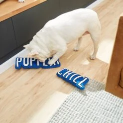 Frisco Zoomies & Chill Pupflix & Chill Plush Squeaky Dog Toy, 2 Count 7 Frisco Zoomies & Chill Pupflix & Chill Plush Squeaky Dog Toy, 2 Count -The Pet Haven Shop 241693 PT6. AC SS1800 V1610768429