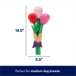 Frisco Valentine Rose Bouquet Plush Squeaky Dog Toy -The Pet Haven Shop 241733 PT1. AC SS1800 V1701365129