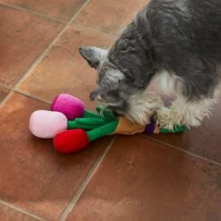 Frisco Valentine Rose Bouquet Plush Squeaky Dog Toy -The Pet Haven Shop 241733 PT6. AC SS1800 V1607990908