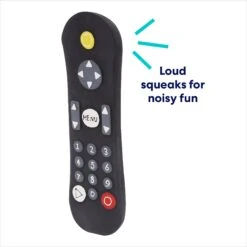 Frisco Zoomies & Chill Remote Latex Squeaky Dog Toy -The Pet Haven Shop 241753 PT2. AC SS1800 V1686579083