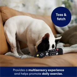Frisco Zoomies & Chill Remote Latex Squeaky Dog Toy -The Pet Haven Shop 241753 PT6. AC SS1800 V1686580150