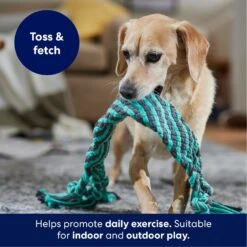 Frisco Flat Teal & Gray Braided Rope Squeaky Fetch Dog Toy 10 Frisco Flat Teal & Gray Braided Rope Squeaky Fetch Dog Toy -The Pet Haven Shop 242127 PT3. AC SS1800 V1695242179