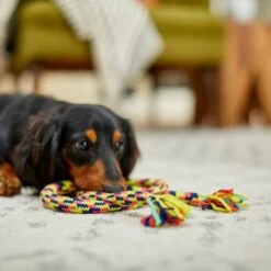 Frisco Pretzel Rope Dog Toy -The Pet Haven Shop 242141 PT2. AC SS1800 V1605208795