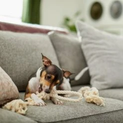 Frisco Double Knot Cotton Rope Fetch Dog Toy -The Pet Haven Shop 242155 PT2. AC SS1800 V1605208728