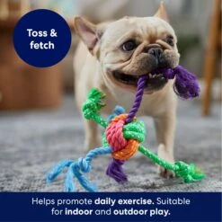 Frisco Fetch Colorful Ball Knot Rope Dog Toy -The Pet Haven Shop 242159 PT3. AC SS1800 V1695242179