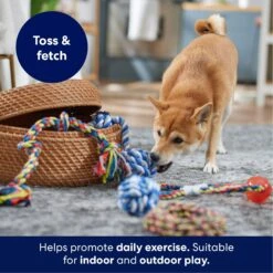 Frisco Rope Multipack For Medium Dog Toys -The Pet Haven Shop 243978 PT3. AC SS1800 V1695241973