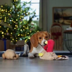Frisco Holiday Turkey 2-in-1 Plush Squeaky Dog Toy -The Pet Haven Shop 244925 PT3. AC SS1800 V1661874063