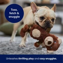 Frisco Bear Plush Squeaky Dog Toy -The Pet Haven Shop 245924 PT4. AC SS1800 V1695760929