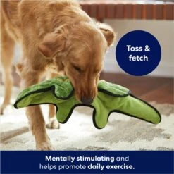 Frisco Alligator Stuffing-Free Flat Plush Squeaky Dog Toy 8 Frisco Alligator Stuffing-Free Flat Plush Squeaky Dog Toy -The Pet Haven Shop 245943 PT2. AC SS1800 V1678723898