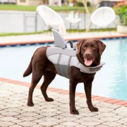 Frisco Shark Dog Life Jacket 18 Frisco Shark Dog Life Jacket -The Pet Haven Shop 247887 PT7. AC SS1800 V1616505777