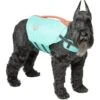 Frisco Active Dog Life Jacket -The Pet Haven Shop 247894 MAIN. AC SS1800 V1613407958