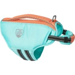 Frisco Active Dog Life Jacket 15 Frisco Active Dog Life Jacket -The Pet Haven Shop 247894 PT4. AC SS1800 V1622903560