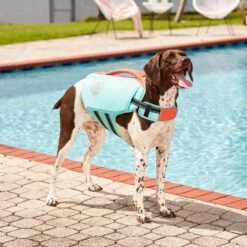 Frisco Active Dog Life Jacket 18 Frisco Active Dog Life Jacket -The Pet Haven Shop 247894 PT7. AC SS1800 V1616506092