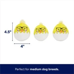 Frisco Spring Easter Egg Hide & Seek Plush Squeaky Dog Toy -The Pet Haven Shop 248037 PT2. AC SS1800 V1700243718