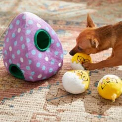 Frisco Spring Easter Egg Hide & Seek Plush Squeaky Dog Toy -The Pet Haven Shop 248037 PT5. AC SS1800 V1608763654