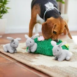 Frisco Spring Bunny Burrow Hide & Seek Plush Squeaky Dog Toy -The Pet Haven Shop 248039 PT5. AC SS1800 V1608767863