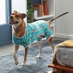 Frisco Teal Floral Dog & Cat Jersey PJs -The Pet Haven Shop 249132 PT5. AC SS1800 V1637725019