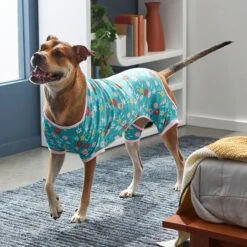 Frisco Teal Floral Dog & Cat Jersey PJs -The Pet Haven Shop 249132 PT7. AC SS1800 V1614376401