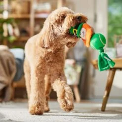 Frisco St. Patrick's Leprechaun Plush With Tennis Ball Squeaky Dog Toy 10 Frisco St. Patrick's Leprechaun Plush With Tennis Ball Squeaky Dog Toy -The Pet Haven Shop 249472 PT4. AC SS1800 V1700163040