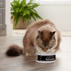 Frisco "Paws Off" Ceramic Personalized Dog & Cat Bowl -The Pet Haven Shop 250829 PT3. AC SS1800 V1610767170