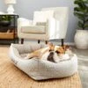 Frisco Rectangular Personalized Bolster Dog Bed W/Removable Cover, Beige, Medium -The Pet Haven Shop 252613 MAIN. AC SS1800 V1604499149