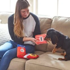 Frisco Baseball Snacks Dog Toy -The Pet Haven Shop 252748 PT5. AC SS1800 V1615814544