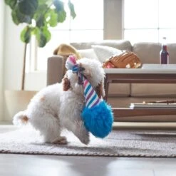 Frisco Baseball Cotton Candy Plush With Rope Squeaky Dog Toy -The Pet Haven Shop 252750 PT5. AC SS1800 V1615814567