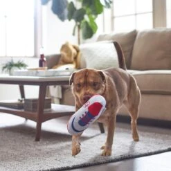 Frisco Baseball Cleat Latex Dog Toy -The Pet Haven Shop 252764 PT5. AC SS1800 V1615814650