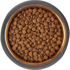 Frisco Matte Black Design Light Copper Stainless Steel Dog & Cat Bowl -The Pet Haven Shop 253051 PT5. AC SS1800 V1616526794