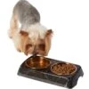 Frisco Copper Stainless Steel Double Dog & Cat Bowls With Black Marble Stand -The Pet Haven Shop 253058 MAIN. AC SS1800 V1616075012