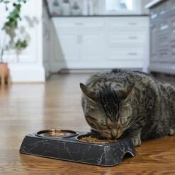 Frisco Copper Stainless Steel Double Dog & Cat Bowls With Black Marble Stand -The Pet Haven Shop 253058 PT2. AC SS1800 V1616594213