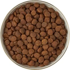 Frisco Gold Trim Melamine Dog & Cat Bowl 16 Frisco Gold Trim Melamine Dog & Cat Bowl -The Pet Haven Shop 253062 PT5. AC SS1800 V1616595396