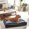Frisco Faux Felt Zipper Pillow Cat & Dog Bed -The Pet Haven Shop 255158 MAIN. AC SS1800 V1616011383