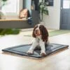 Frisco Self Warming Dog Crate Mat -The Pet Haven Shop 255337 MAIN. AC SS1800 V1616102282