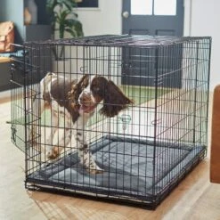 Frisco Self Warming Dog Crate Mat 13 Frisco Self Warming Dog Crate Mat -The Pet Haven Shop 255337 PT5. AC SS1800 V1616102293