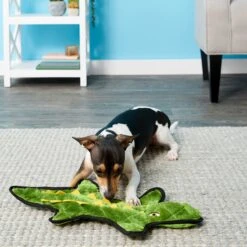 Frisco Alligator Stuffing-Free Flat Plush Squeaky Dog Toy & Frisco Raccoon Stuffing-Free Flat Plush Squeaky Dog Toy -The Pet Haven Shop 255471 PT2. AC SS1800 V1602691584