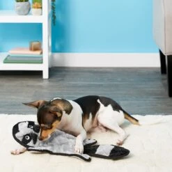 Frisco Alligator Stuffing-Free Flat Plush Squeaky Dog Toy & Frisco Raccoon Stuffing-Free Flat Plush Squeaky Dog Toy -The Pet Haven Shop 255471 PT4. AC SS1800 V1602691287