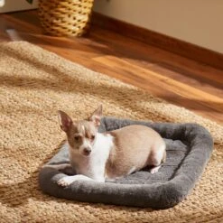 Frisco Fold & Carry Single Door Collapsible Wire Dog Crate & Frisco Quilted Plush Dog Crate Mat -The Pet Haven Shop 255501 PT4. AC SS1800 V1604097719