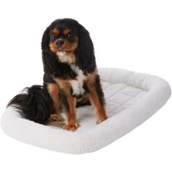 Frisco Heavy Duty Fold & Carry Single Door Collapsible Wire Dog Crate & Frisco Quilted Dog Crate Mat -The Pet Haven Shop 255551 PT4. AC SS1800 V1604096523