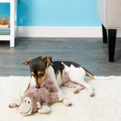 Frisco Monkey Plush Squeaky Dog Toy & Frisco Fox Plush Squeaky Dog Toy -The Pet Haven Shop 255597 PT2. AC SS1800 V1602702685
