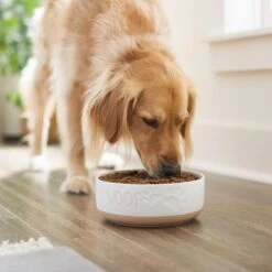 Frisco Paw Prints Non-skid Ceramic Bowl 10 Frisco Paw Prints Non-skid Ceramic Bowl -The Pet Haven Shop 256072 PT2. AC SS1800 V1615311738