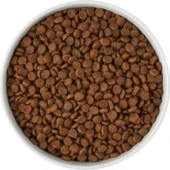 Frisco Paw Prints Non-skid Ceramic Bowl 13 Frisco Paw Prints Non-skid Ceramic Bowl -The Pet Haven Shop 256072 PT5. AC SS1800 V1615312318