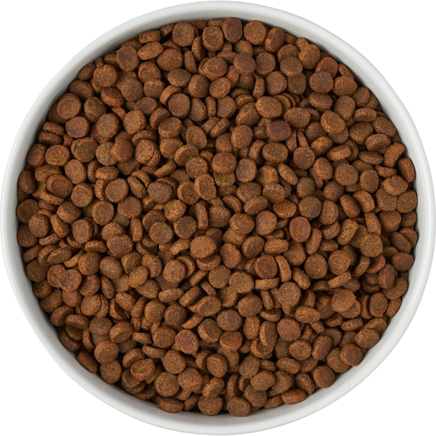 Frisco Paw Prints Non-skid Ceramic Bowl 8 Frisco Paw Prints Non-skid Ceramic Bowl - Image 6