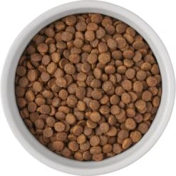 Frisco Bones Non-skid Ceramic Dog & Cat Bowl -The Pet Haven Shop 256074 PT5. AC SS1800 V1615312010