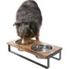 Frisco Wood Elevated Non-Skid Stainless Steel Double Diner Dog & Cat Bowl 2 Frisco Wood Elevated Non-Skid Stainless Steel Double Diner Dog & Cat Bowl -The Pet Haven Shop 257143 MAIN. AC SS1800 V1615913797